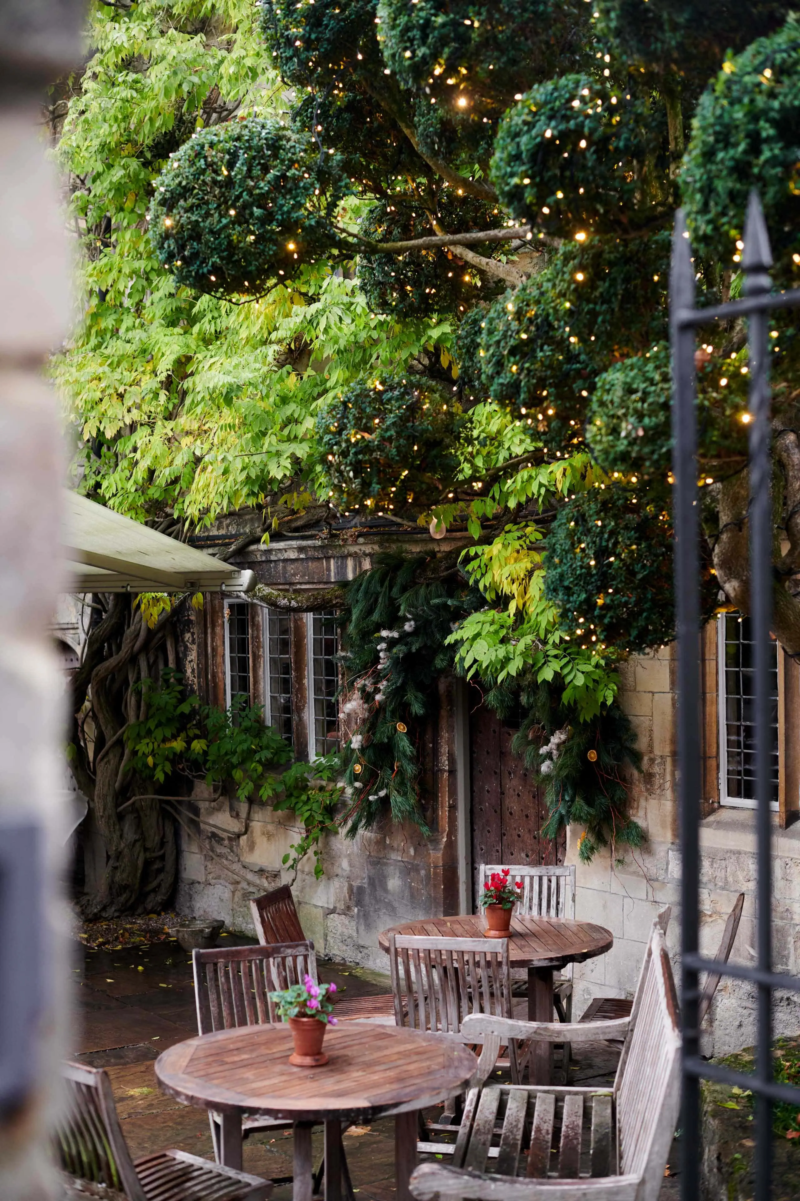 0004 - 2021 - Old Parsonage Hotel - Oxford - High res - Christmas Wet Rain Tree Terrace - Web Hero